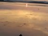 20180602_214338