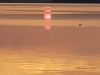 20180602_214455