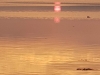 20180602_214522