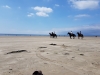 20180603_143707